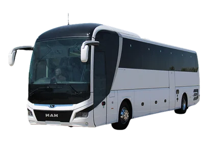 46 Passenger Man Lions Bus man lions intercity bus rental