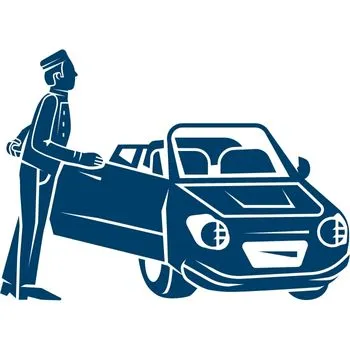 expert vehicle drivers